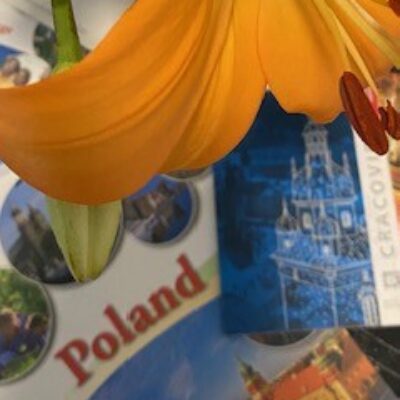 Фотографія профілю