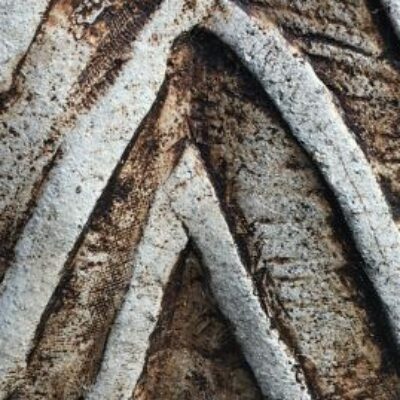 Project logo of Трипільська цивілізація. Пам’ять у кольорі