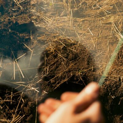 Project logo of "Нове життя під ковпаком. Важко дихає"