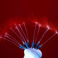 Вогняні стріли 