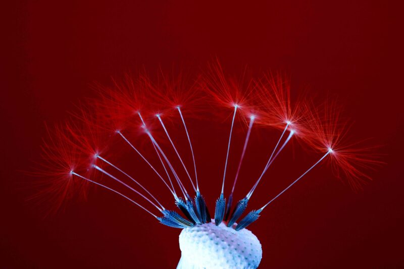 Вогняні стріли