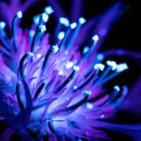 Блакитний всесвіт 