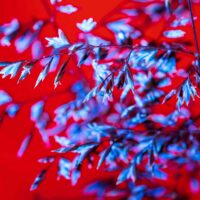 Теплий холод 