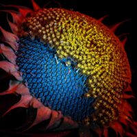 Око Всесвіту 