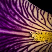 Енергія життя