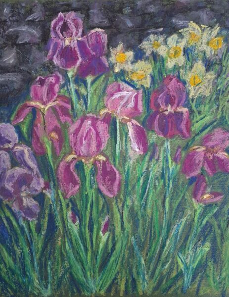 Irises