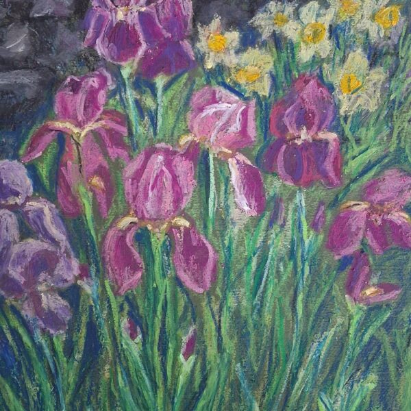 Irises 