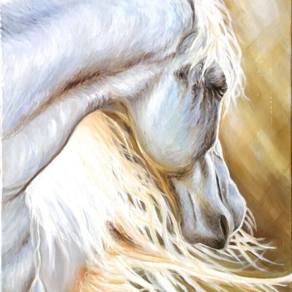 Light horse 