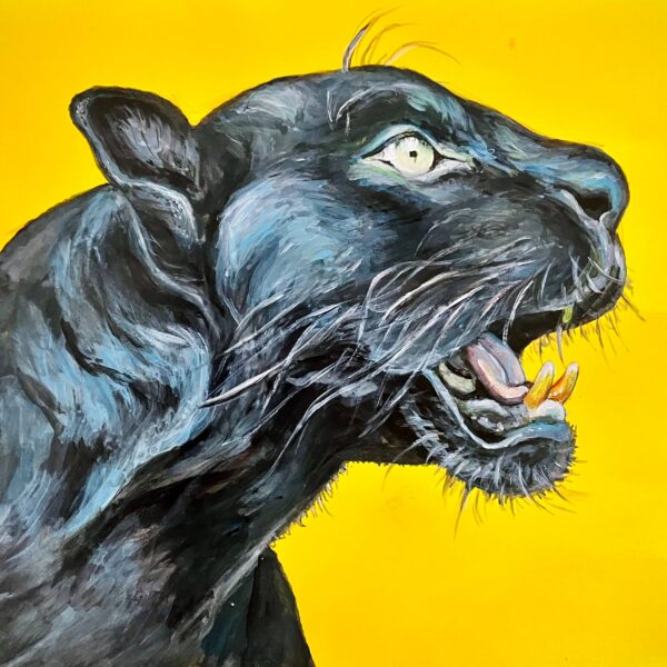 black panthera 