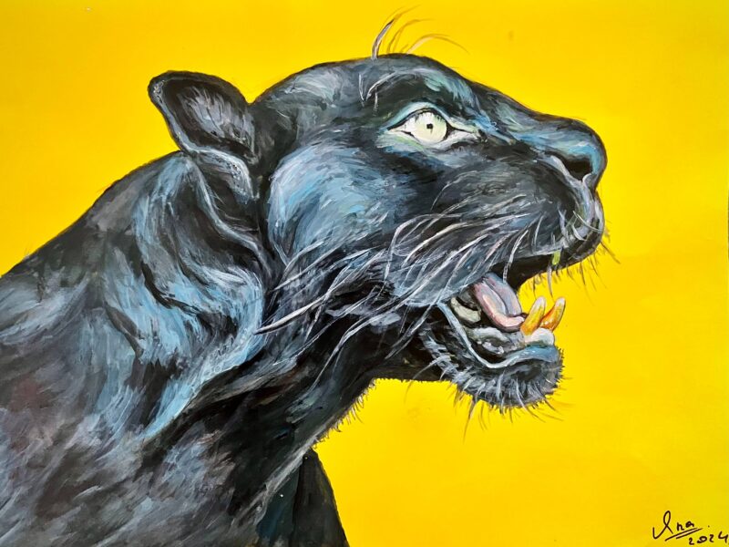 black panthera